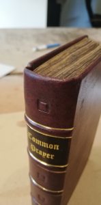 Calf Skin Book Repair